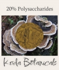 Turkey Tail Mushroom 20% polysaccharides Extract Powder 25g
